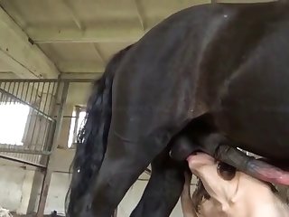Ass Traffic Lindsey Olsen Ass To Mouth Cum Swallowing Animal Porn with