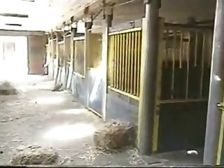 Animal Porn with Step Brother