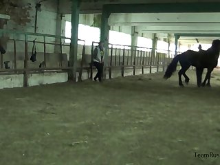 Spanish Teacher For A Animal Porn with Girl