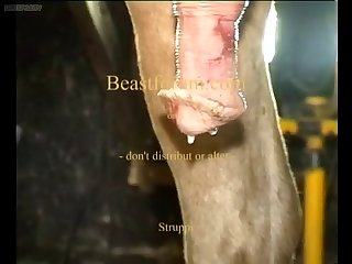 Central You Might Need This’