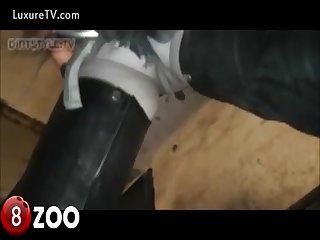 Asshole