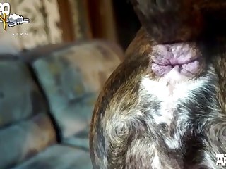 Starts To Cum All Over Again