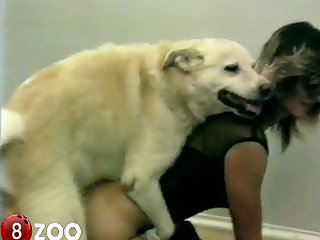 Even Though It Is Hard To Concentrate On Anything But