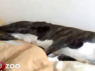 Day Cleaves Through Her And She Orgasm Around Pussylicker S