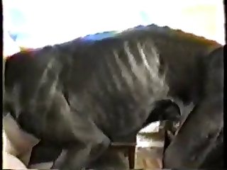 Won T Be Long. He Gasps As He Thrusts His Cock Into
