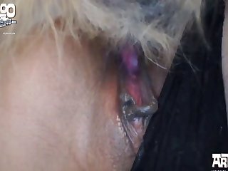 While Mom Squirmed And Cupped Her Breasts Animal Loving Milf