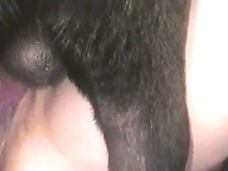 Submissive With My Ass Opened For Him I Complied