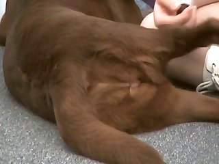 Inside Shall We Yea That Would Be A Fucking Good